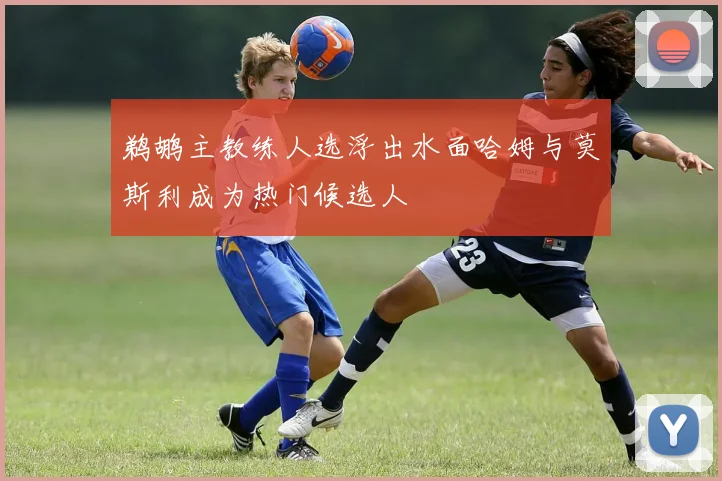 鹈鹕主教练人选浮出水面哈姆与莫斯利成为热门候选人