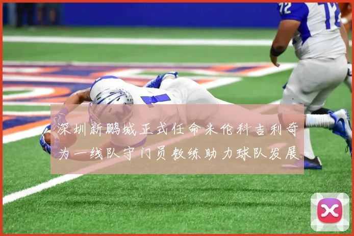 深圳新鹏城正式任命米伦科吉利奇为一线队守门员教练助力球队发展