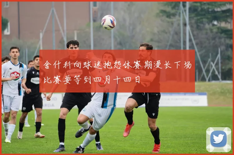 舍什科向球迷抱怨休赛期漫长下场比赛要等到四月十四日